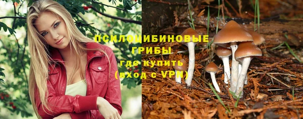эйфоретик Баксан
